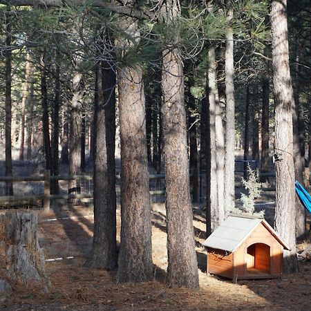 Beautiful Log Home Outside Of シスターズ エクステリア 写真